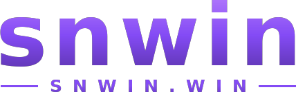 snwin logo